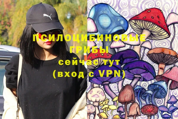 PSILOCYBIN Алексеевка