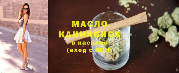 СК Алексин