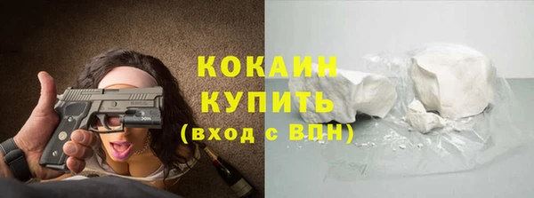СК Алексин