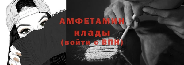 СК Алексин