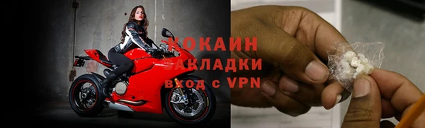СК Алексин