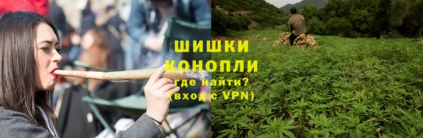 PSILOCYBIN Алексеевка