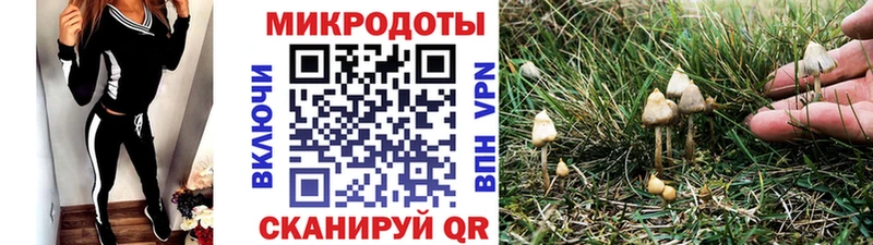 Псилоцибиновые грибы GOLDEN TEACHER купить наркоту mega tor маркетплейс Telegram Сатка